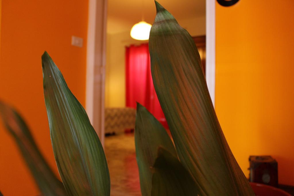 Lepanto B&B Pompeja Zewnętrze zdjęcie